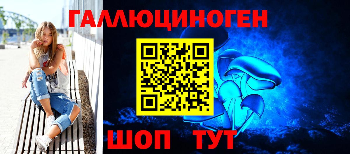 Псилоцибиновые грибы Cubensis Грязи