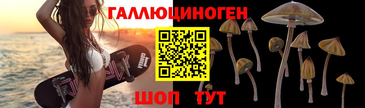 Псилоцибиновые грибы Psilocybe  Псилоцибиновые грибы прущие грибы  Грязи  Вход с VPN 